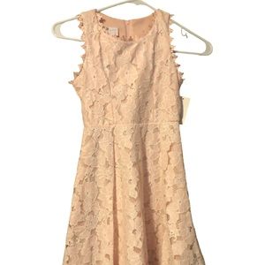 Iris & Ivy floral dress